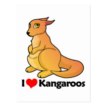I Love Kangaroos Postcard