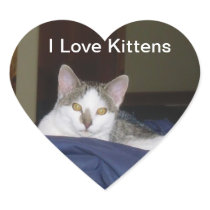I Love Kittens Sticker