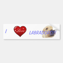 I love Labradors! Bumper Sticker