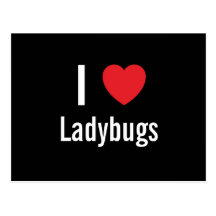 I love Ladybugs Postcards