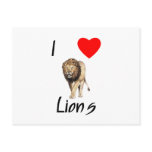 I Love Lions (2) Postcard
