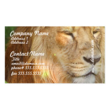 I Love Lions Business Cards