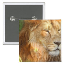 I Love Lions Button