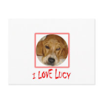 i love lucy postcard
