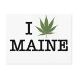 I Love Maine Post Card postcards
