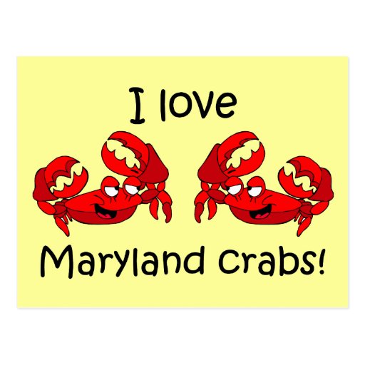 I love maryland crabs! postcard