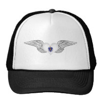 I Love Massachusetts -wings hats