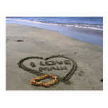 I love Maui Postcard