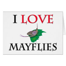 I Love Mayflies Card