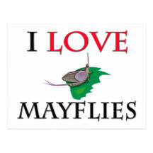 I Love Mayflies Post Cards