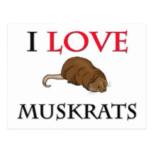 I Love Muskrats Post Cards