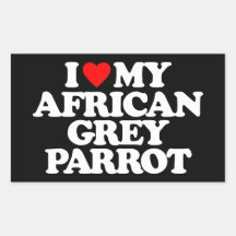 I LOVE MY AFRICAN GREY PARROT RECTANGLE STICKERS