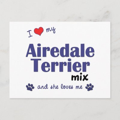 airedale hound mix
