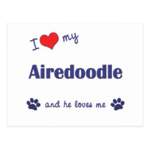 I Love My Airedoodle (Male Dog) Postcard