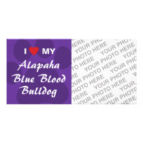 I Love My Alapaha Blue Blood Bulldog
