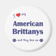 I Love My American Brittanys (Multiple Dogs) Refrigerator Magnet