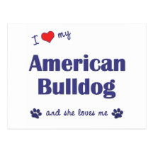 I Love My American Bulldog (Female Dog) Post Card