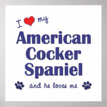 I Love My American Cocker Spaniel (Male Dog) Posters