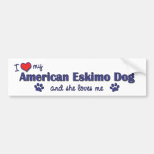 I Love My American Eskimo Dog (Female Dog) Bumper Sticker