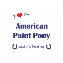 I Love My American Paint Pony (Female Pony) Post Cards