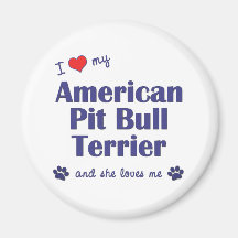 I Love My American Pit Bull Terrier (Female Dog) Fridge Magnet