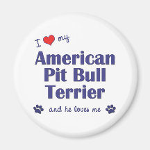 I Love My American Pit Bull Terrier (Male Dog) Refrigerator Magnet