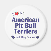 I Love My American Pit Bull Terriers (Multi Dogs) Magnet