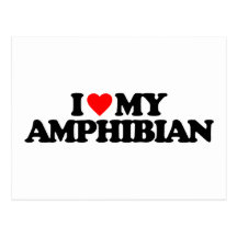 I LOVE MY AMPHIBIAN POST CARD