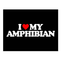 I LOVE MY AMPHIBIAN POSTCARD