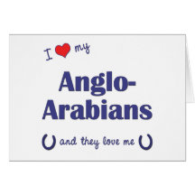 I Love My Anglo-Arabians (Multiple Horses) Greeting Card