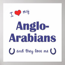 I Love My Anglo-Arabians (Multiple Horses) Print