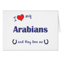 I Love My Arabians (Multiple Horses) Card