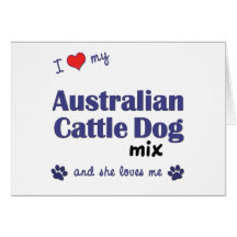 I Love My Australian Cattle Dog Mix (Female Dog) Card