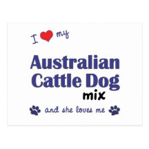 I Love My Australian Cattle Dog Mix (Female Dog) Postcard