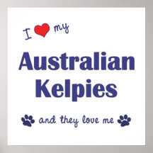 I Love My Australian Kelpies (Multiple Dogs) Posters