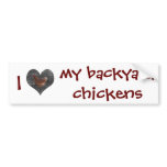 I Love My Backyard Chickens Bumper Sticker