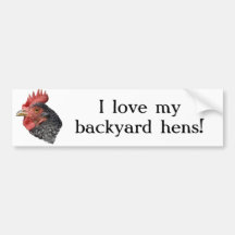 I Love my Backyard Hens - Bumper Sticker