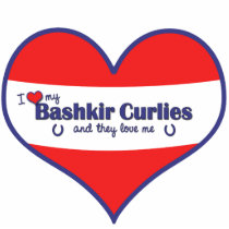 I Love My Bashkir Curlies (Multiple Horses) Photo Cut Out