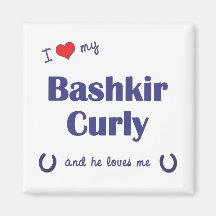 I Love My Bashkir Curly (Male Horse) Fridge Magnets