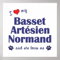 I Love My Basset Artesien Normand (Female Dog) Print