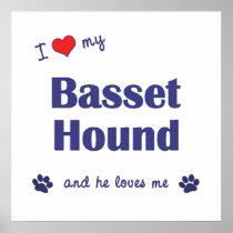 I Love My Basset Hound (Male Dog) Poster