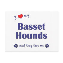 I Love My Basset Hounds (Multiple Dogs) Postcards