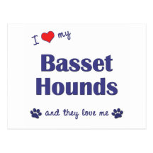 I Love My Basset Hounds (Multiple Dogs) Postcards