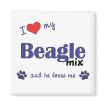 I Love My Beagle Mix (Male Dog) magnets