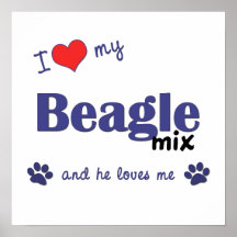 I Love My Beagle Mix (Male Dog) Poster Print