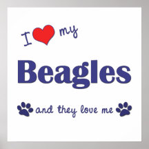 I Love My Beagles (Multiple Dogs) Posters