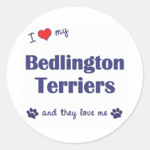I Love My Bedlington Terriers (Multiple Dogs) Stickers