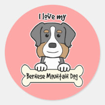 I Love My Bernese Mountain Dog Round Stickers