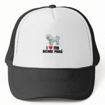 I Love My Bichon Frise Mesh Hats