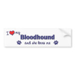 I Love My Bloodhound (Female Dog) bumper stickers